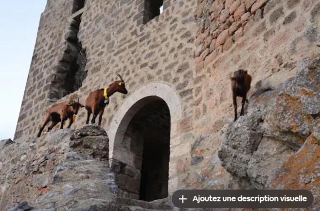 Gite Rue Tranquille Padern Dış mekan fotoğraf