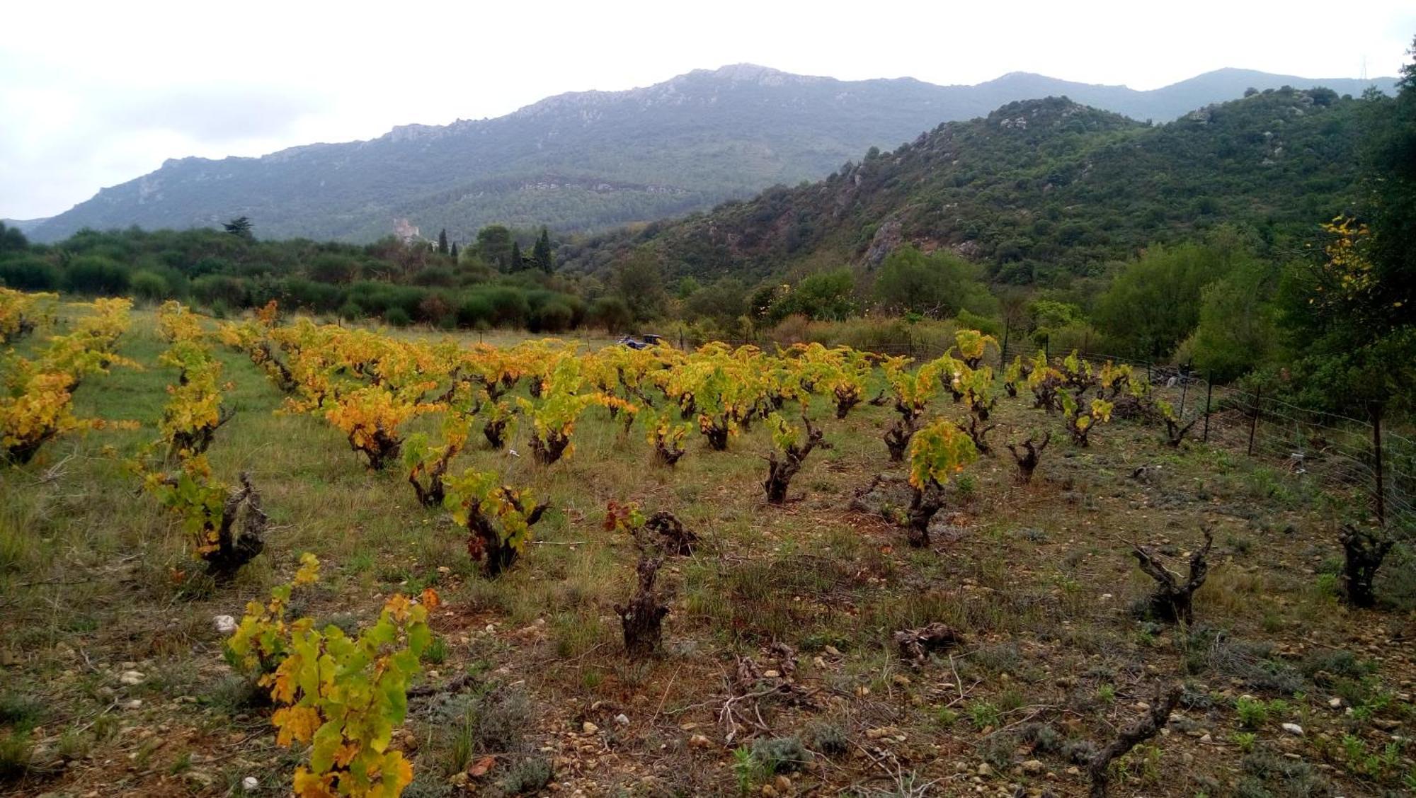 Gite Rue Tranquille Padern Dış mekan fotoğraf